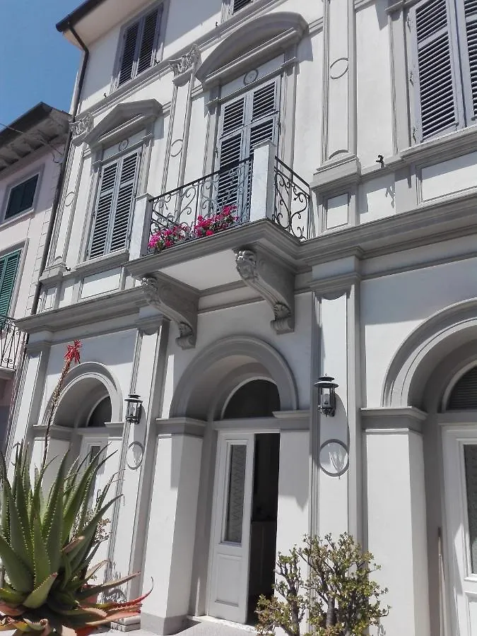 New City Dofour Viareggio Italy