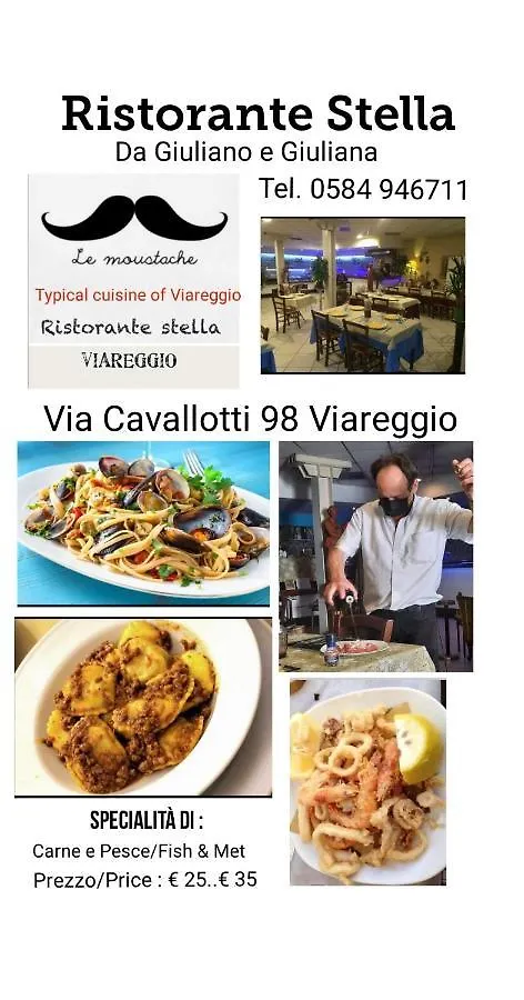 New City Dofour Viareggio